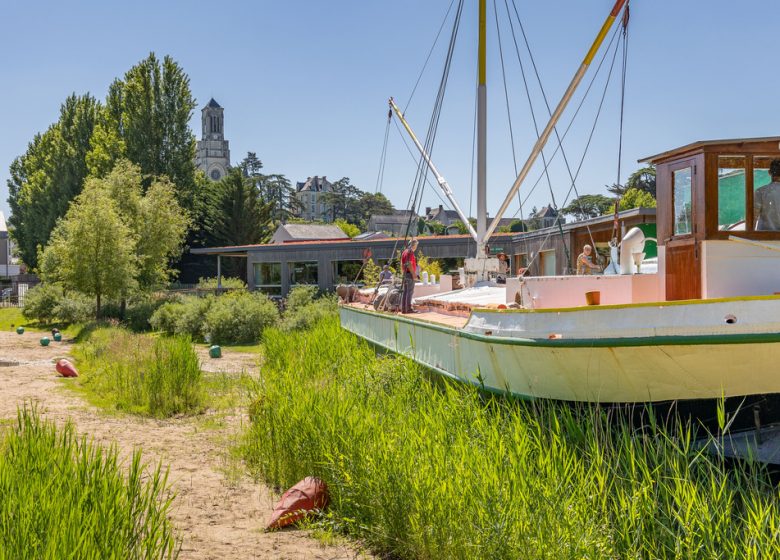 Journée groupes : Montjean-sur-Loire, l’intrépide