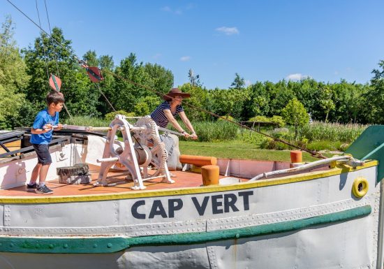Atelier apprenti naturaliste : les petites bêtes à Cap Loire