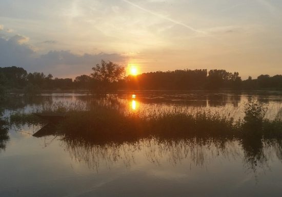Chambre d’hôte Bed Loire