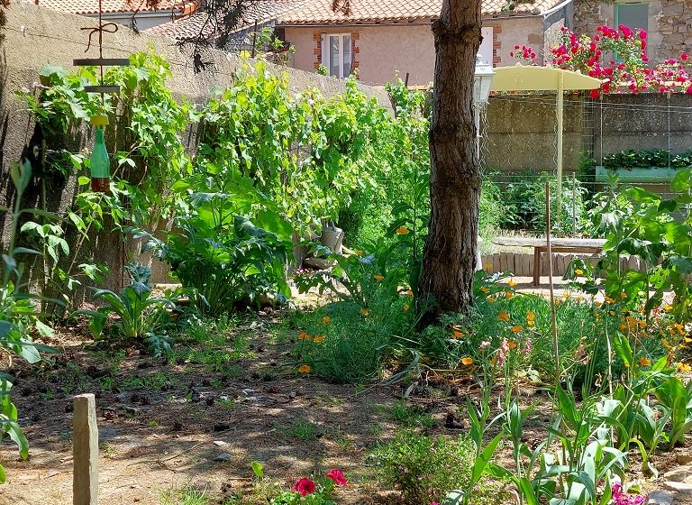 Chambres d’hôtes Le Fief de Gahélie