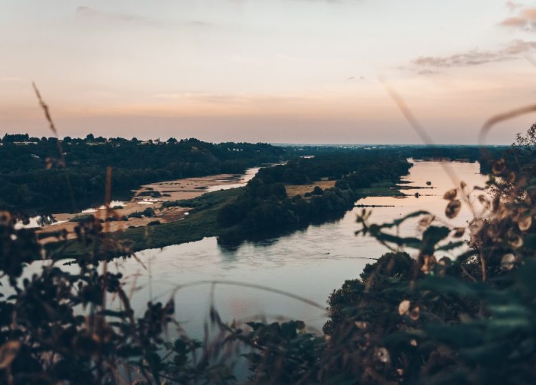 Panorama sur la Loire Le Champalud
