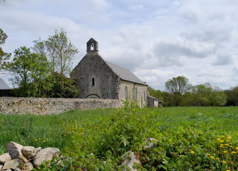 Balade touristique guidée à vélo à Montjean-sur-Loire