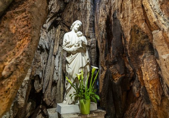 La Chapelle Saint Joseph du Chêne