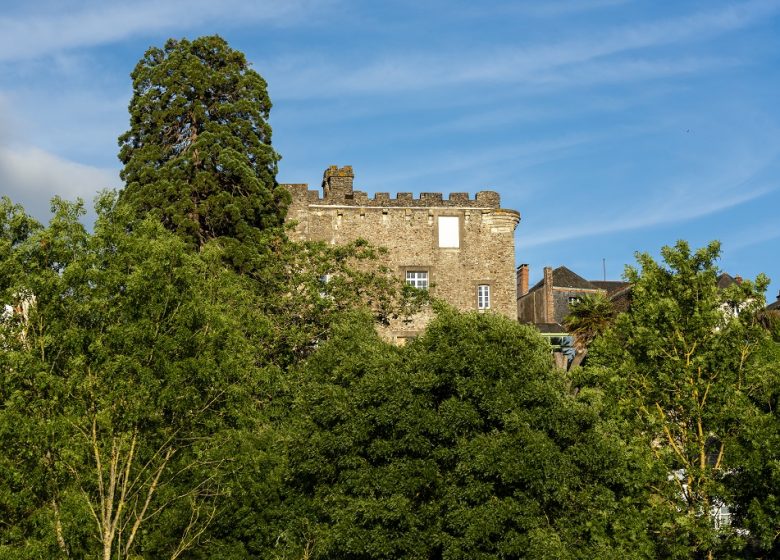 Gite Château de Montrevault