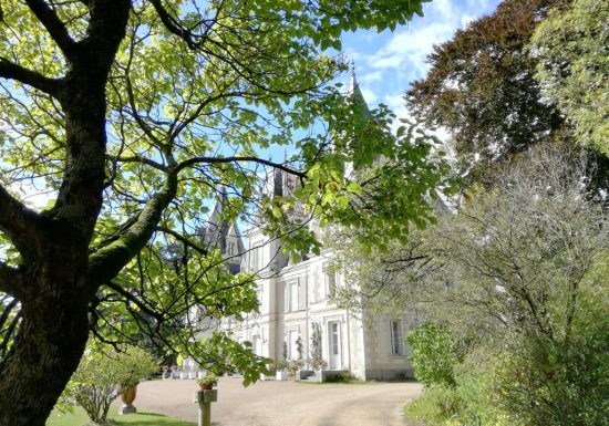 Découverte des plantes sauvages comestibles