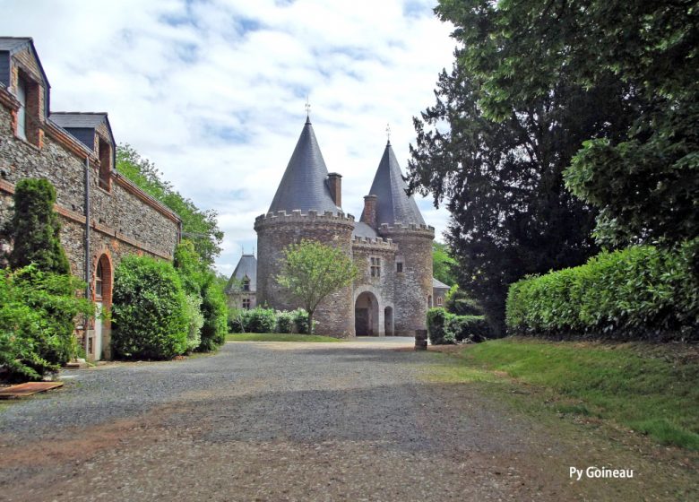 RANDONNÉE AUX ABORDS DE LA THÉVINIÈRE À GESTÉ