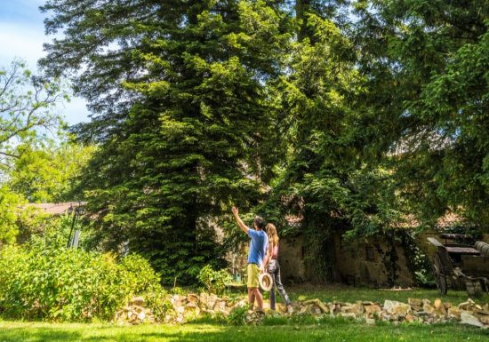 Rendez-vous aux Jardins 2026 au Château de la Tourlandry