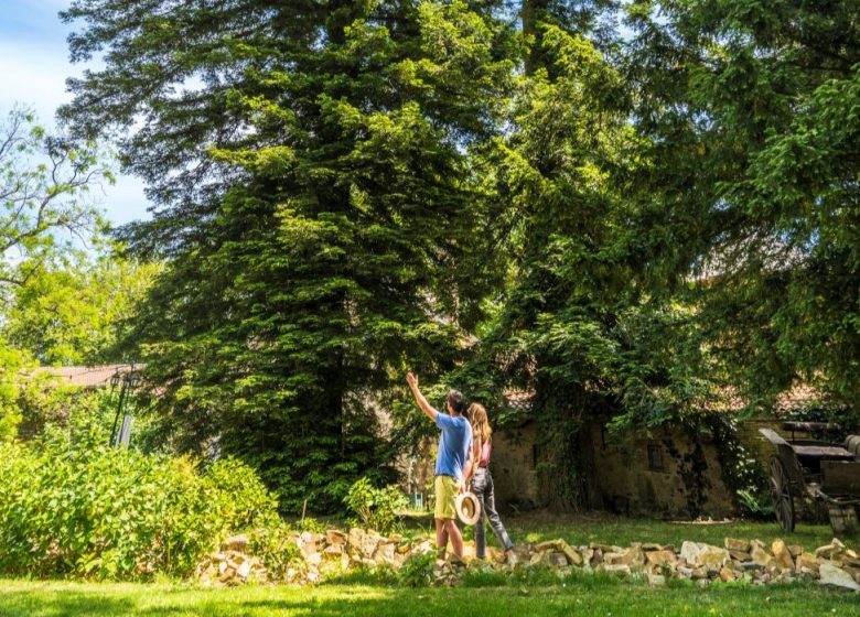 Rendez-vous aux Jardins 2025 au Château de la Tourlandry
