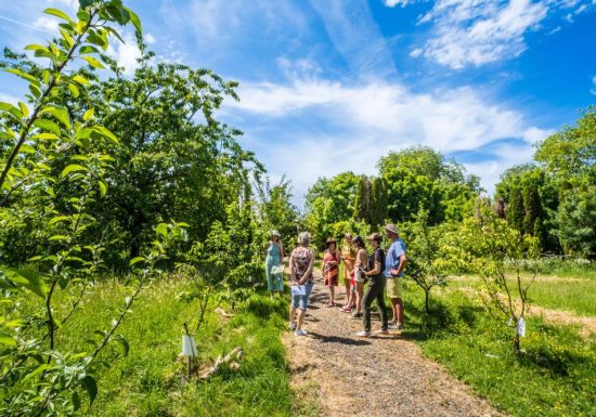 Rendez-vous aux Jardins 2026 au Château de la Tourlandry