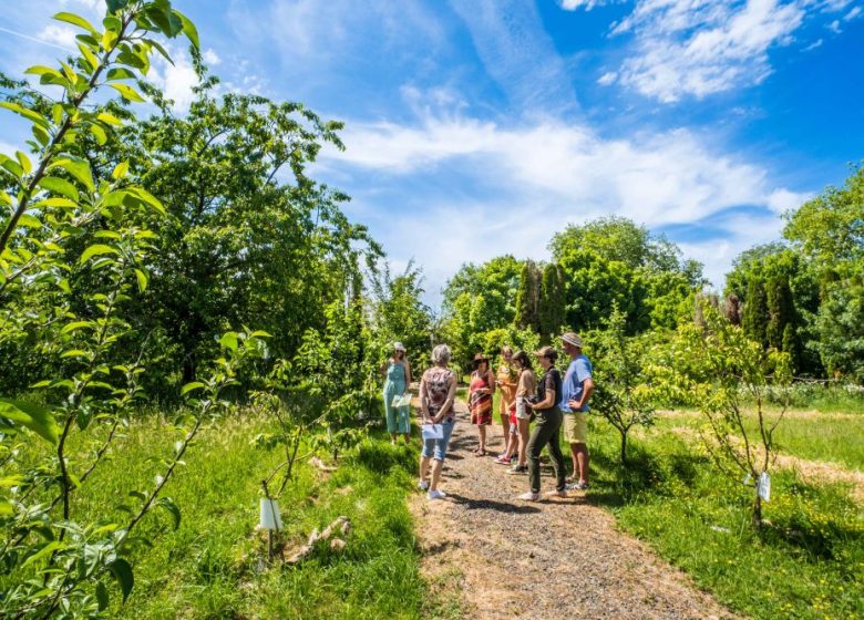 Rendez-vous aux Jardins 2025 au Château de la Tourlandry