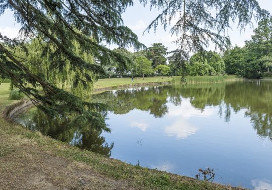 Parc du château de la Turmelière