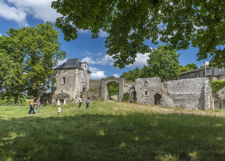 Parc du château de la Turmelière