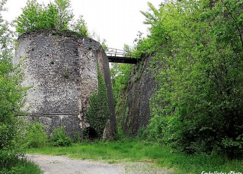 Balade photographique “Spécial orchidées” à Chateaupanne, Montjean-sur-Loire