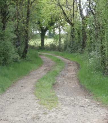 Randonnée “Des chênes et des landes”