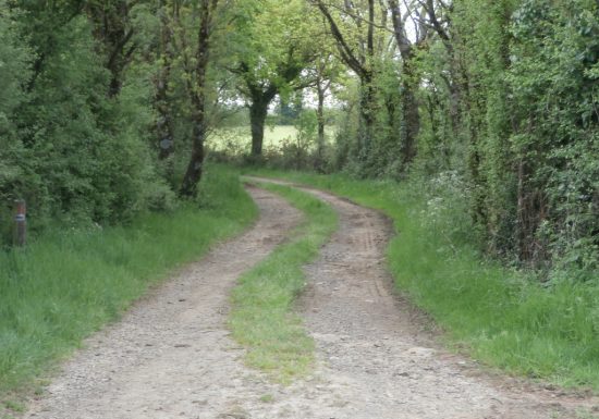 RANDONNÉE “DES CHÊNES ET DES LANDES” – VILLEDIEU LA BLOUÈRE