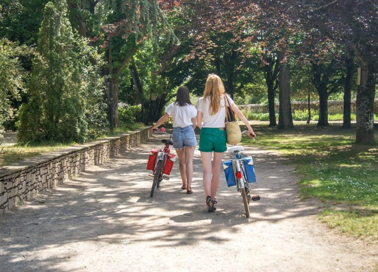 La Loire à Vélo, de Champotceaux à Liré “Entre boire et histoire”