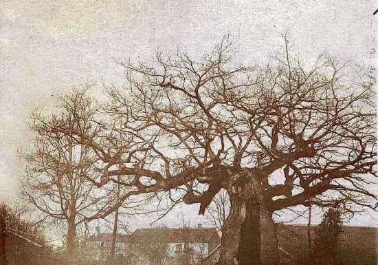 La Chapelle Saint Joseph du Chêne