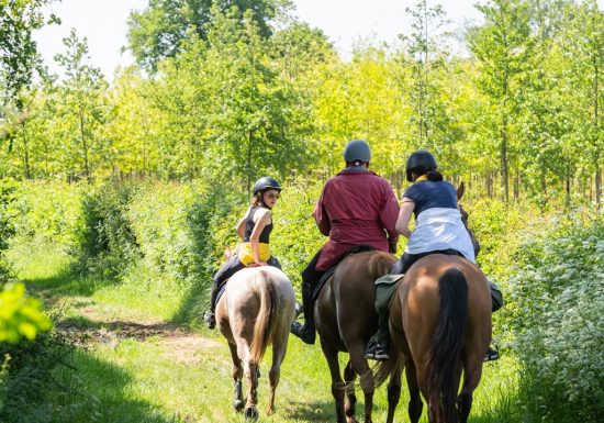 Ferme Équestre de la Pétinière