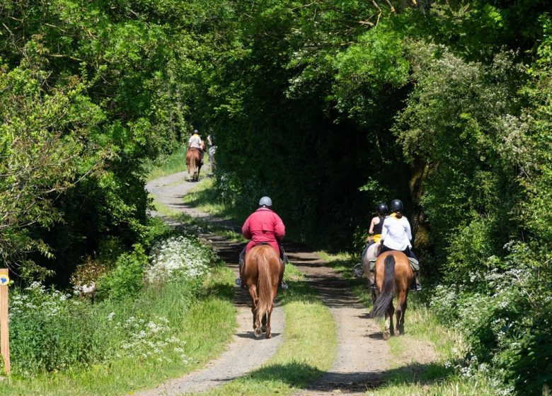Ferme Équestre de la Pétinière