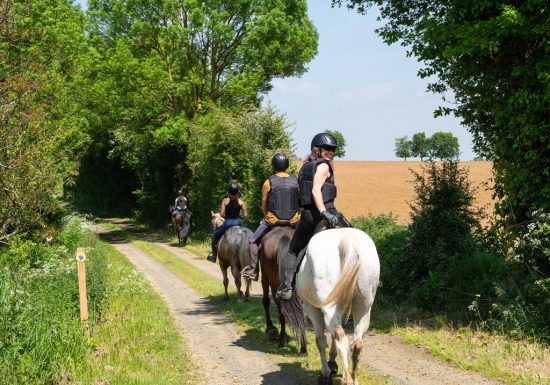 Écurie de l’Arche d’Avalon