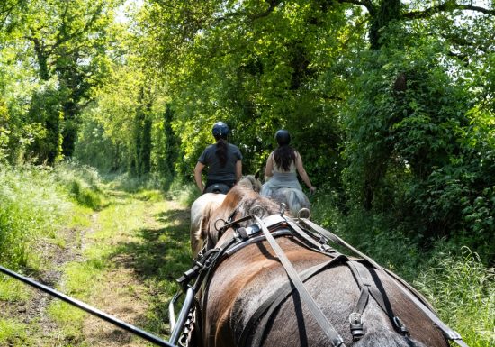 Haras de la Salmonière
