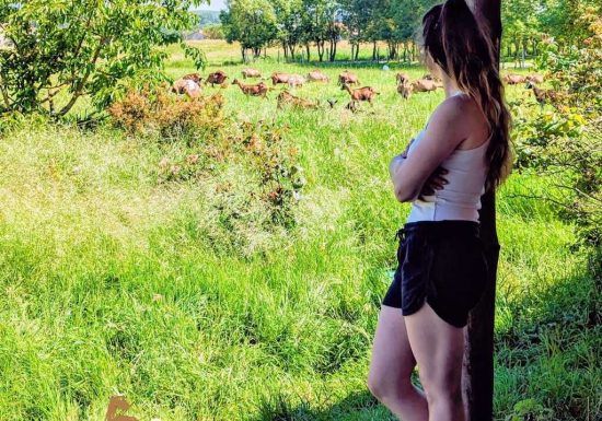 GAEC Pradenn Mae Fromagerie-Chèvrerie