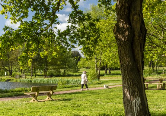 Aire de pique-nique de la Coudraie