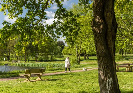 Aire de pique-nique des Lavandières