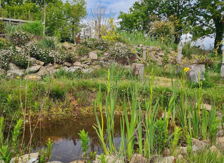 Jardin du Paresseux