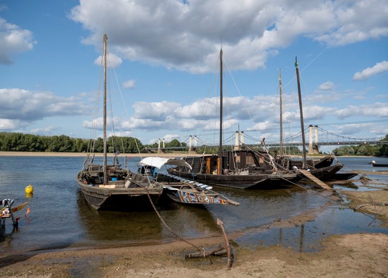 La Loire à Vélo, de Chalonnes-sur-Loire à Saint-Florent-le-Vieil