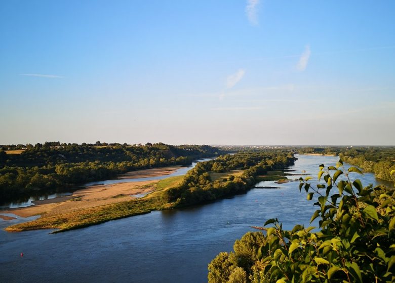 Panorama sur la Loire Le Champalud