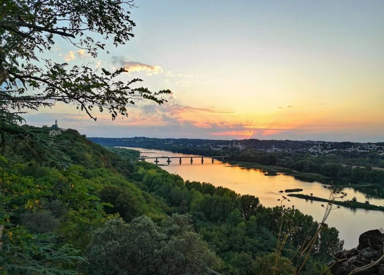 Panorama sur la Loire Le Champalud