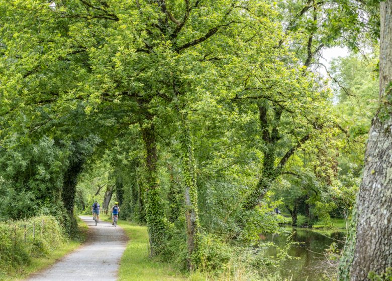 Drain – Entre Loire et Vignoble