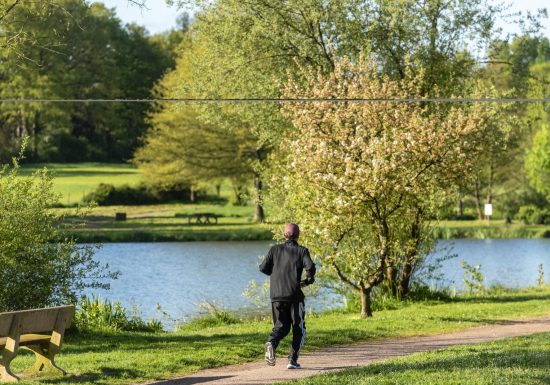 Aire de pique-nique des Lavandières