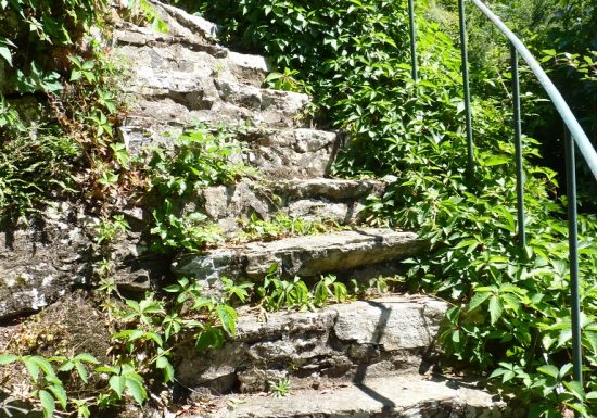 Balade “Découverte du site de Courossé”