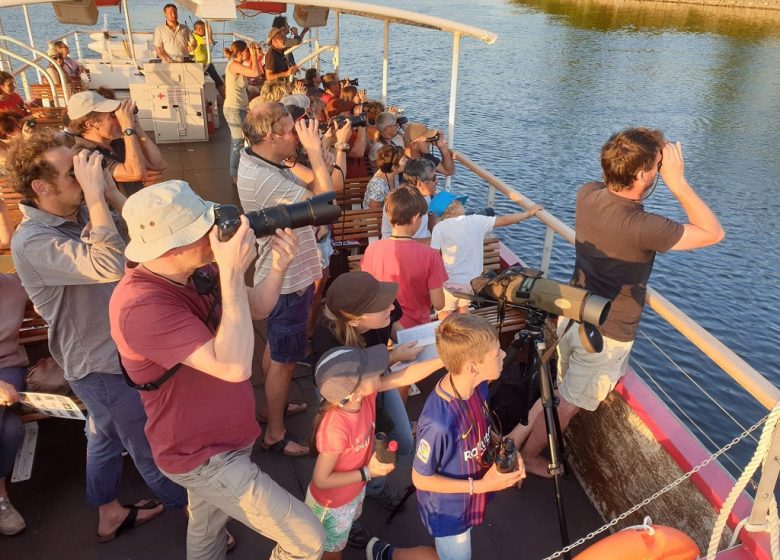Croisière Ornithologique avec la LPO à bord de La Luce