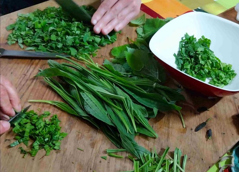 Balade sur les plantes sauvages comestibles : les Rendez-Vous Nature en Anjou