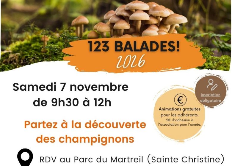 Animation 123 balades! de l’association Horizon Bocage : Découverte des champignons