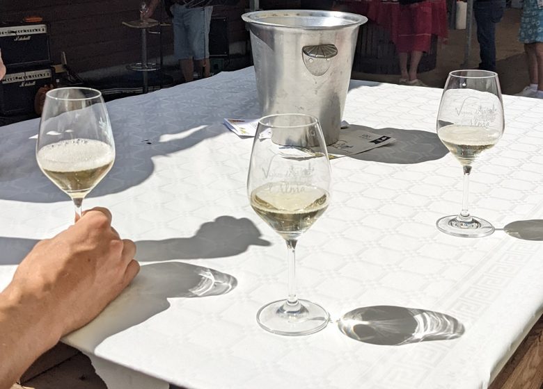 Les Vignes de l’Alma