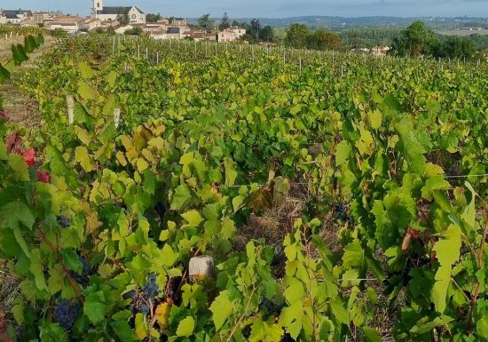 Domaine de la Guignière