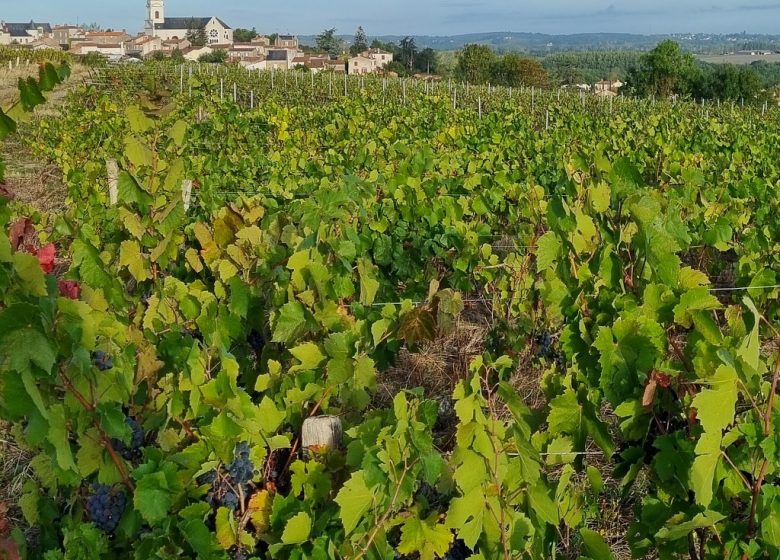 Domaine de la Guignière