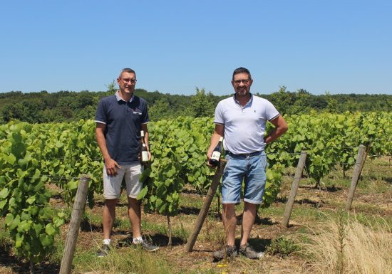 Domaine de la Colline – Vignoble Papin