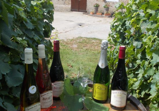 Domaine de la Cambuse