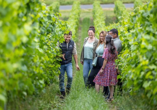 Domaine du Haut-Puiset