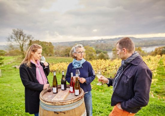 Domaine des Génaudières
