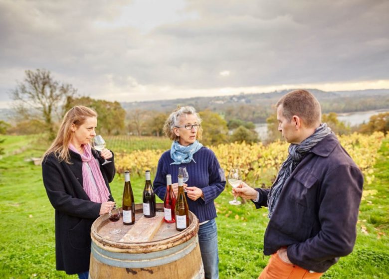 Domaine des Génaudières