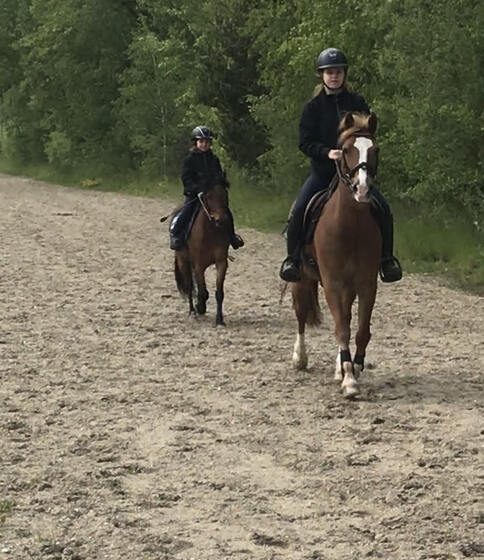 Concours d’obstacles aux écuries du Beuvron