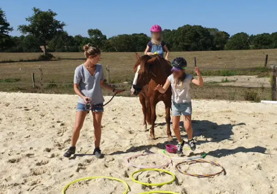 Équimotricité© Ter’Anima