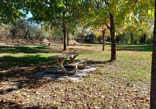 Aire de pique-nique “Tue vache”