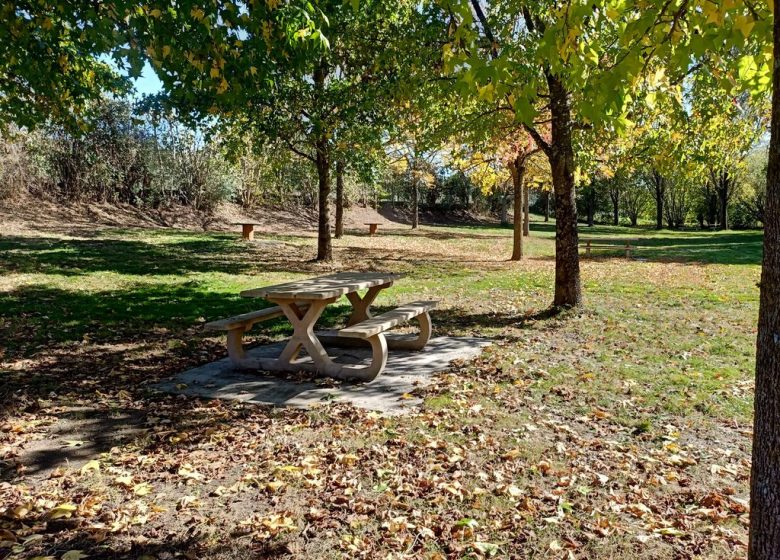 Aire de pique-nique “Tue vache”